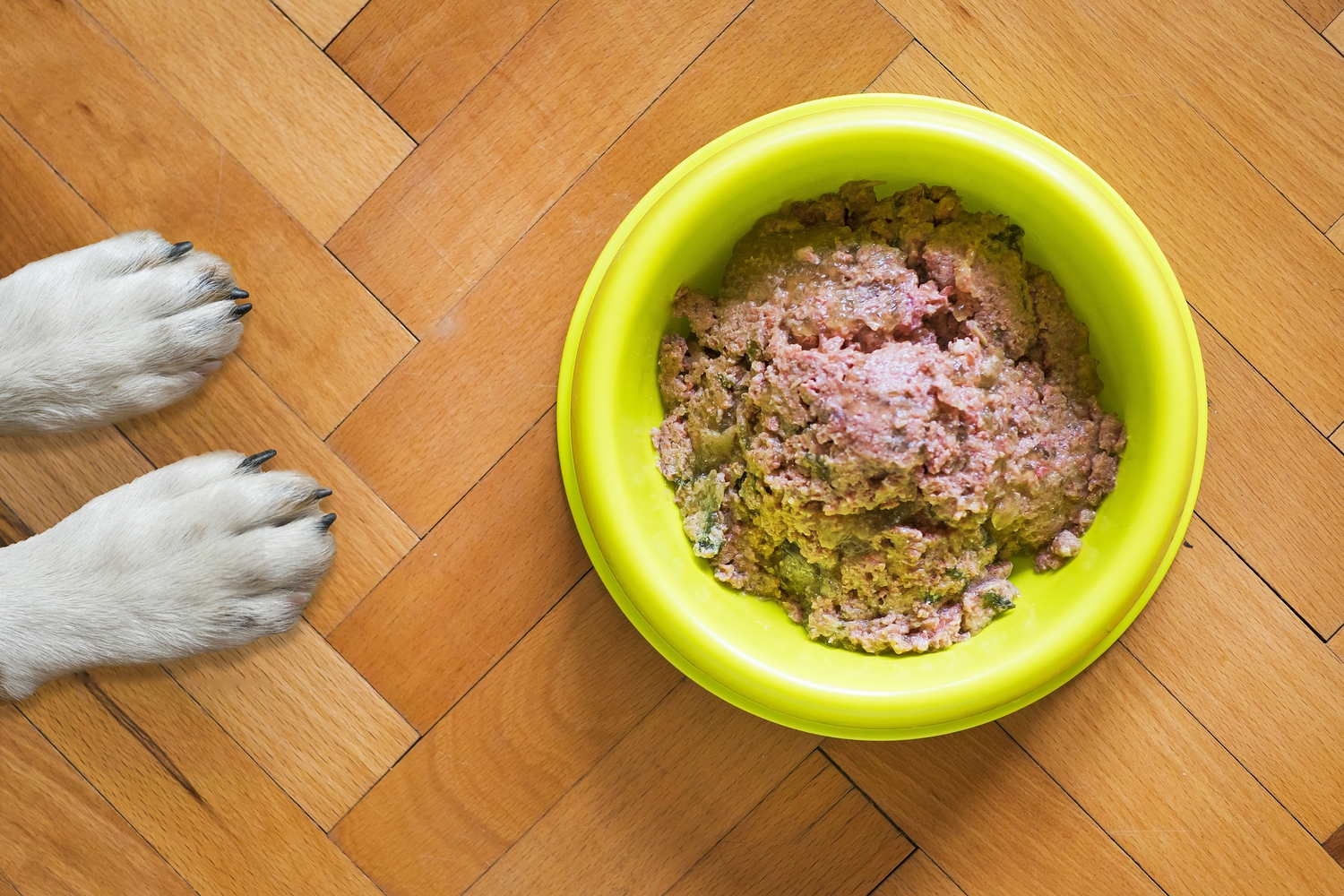 Nourriture légère pour chiens