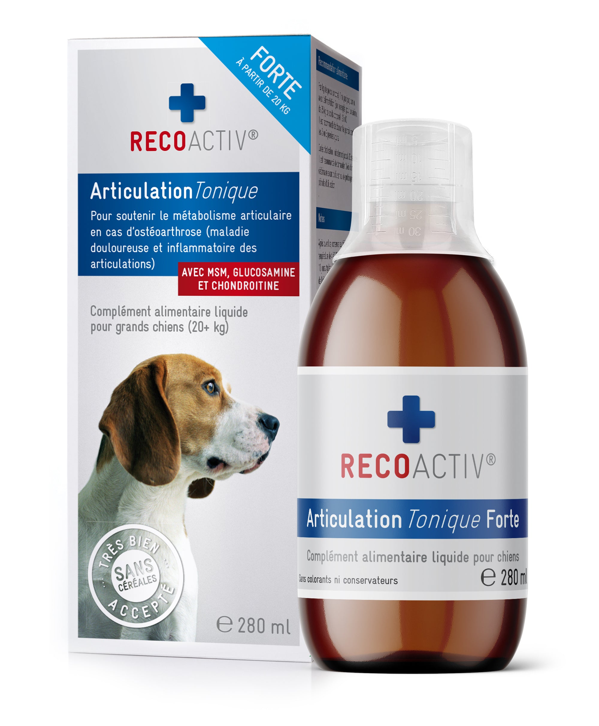RECOACTIV® Articulation Forte Tonique