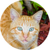 Customer avatar